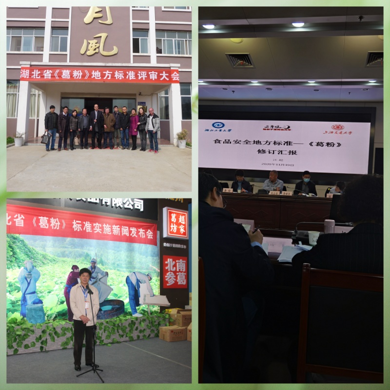 1743746899866031.jpg 《葛粉》標準的制定.jpg