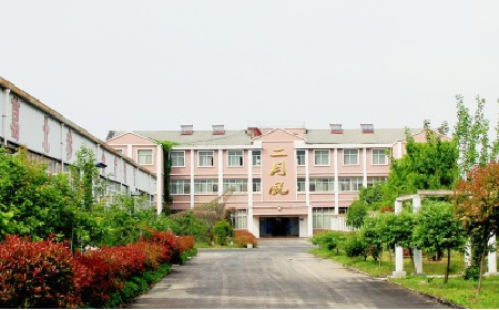 二月風野生葛根粉，當代年輕人的反焦慮新寵