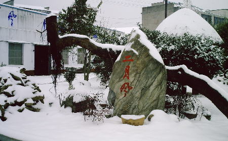 二月風致老友：一碗葛根粉的牽掛，農(nóng)博會上的重逢之約二月風盼老友：農(nóng)博會上，再續(xù)葛粉情緣